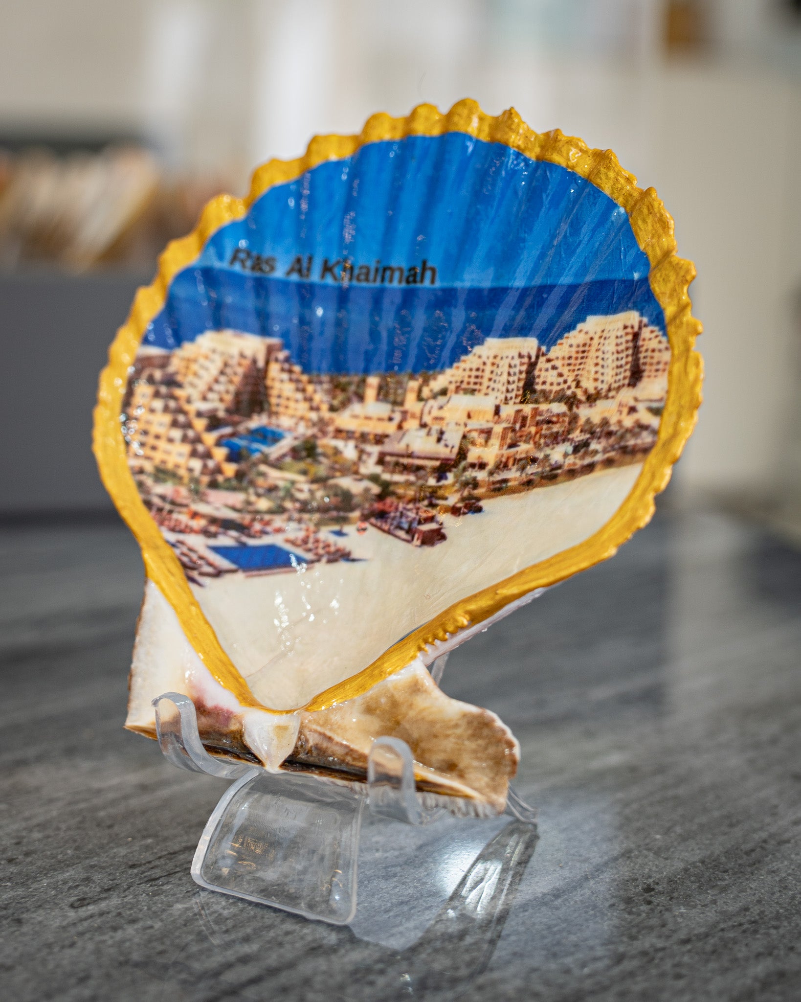 Scallop Art, Al Marjan Island 4.5"