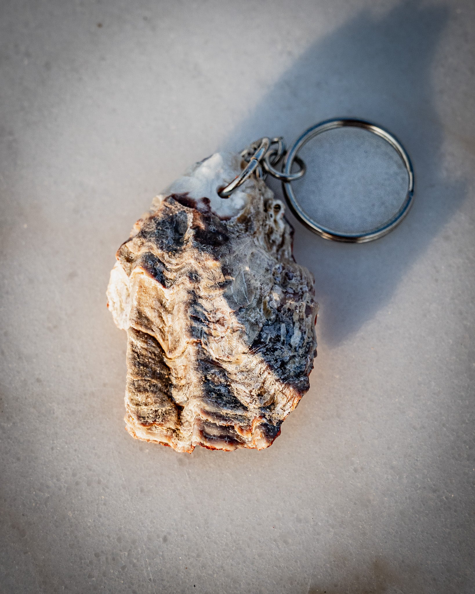 Natural UAE oyster keychains ( keyring )