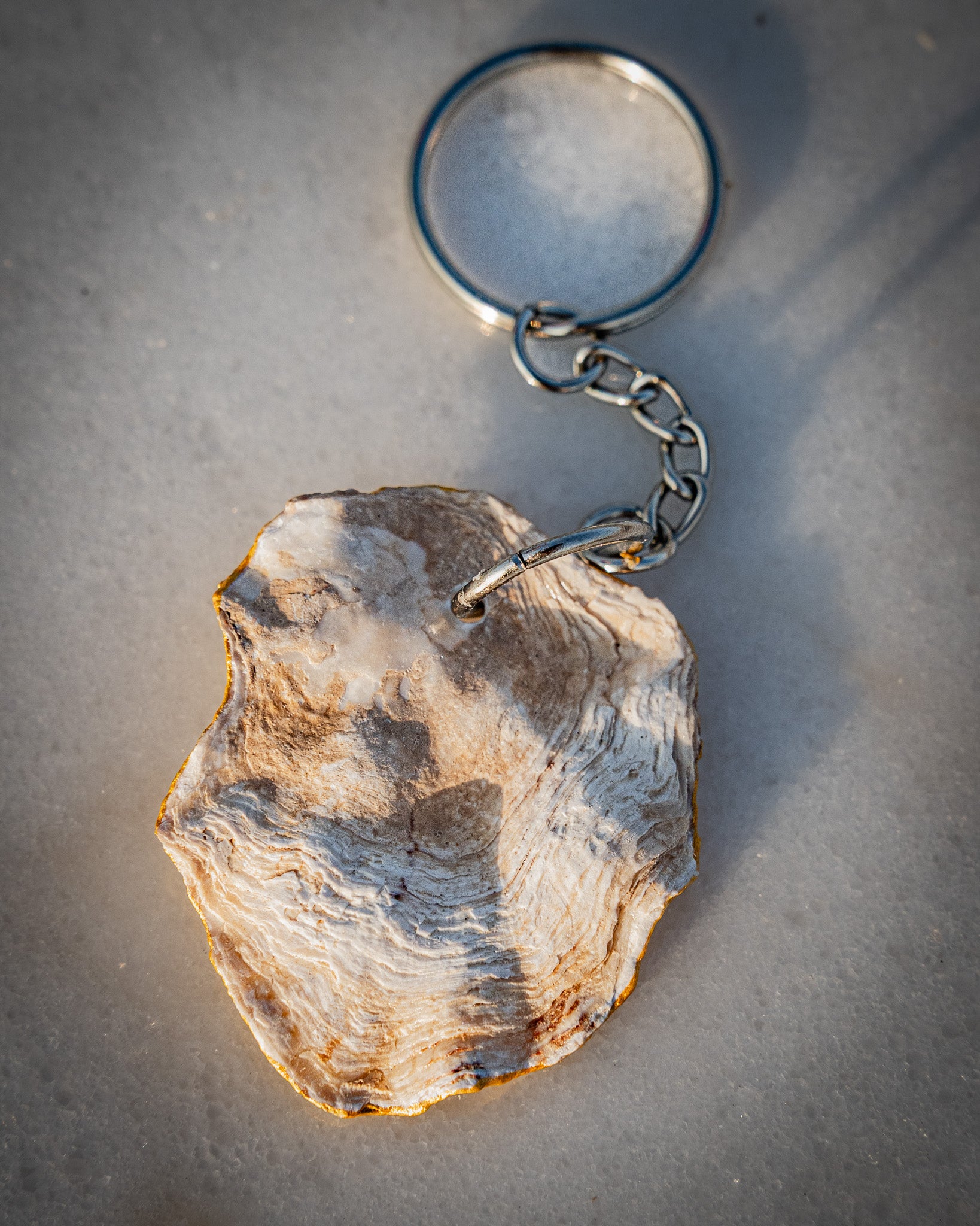 Natural UAE oyster keychains ( keyring )