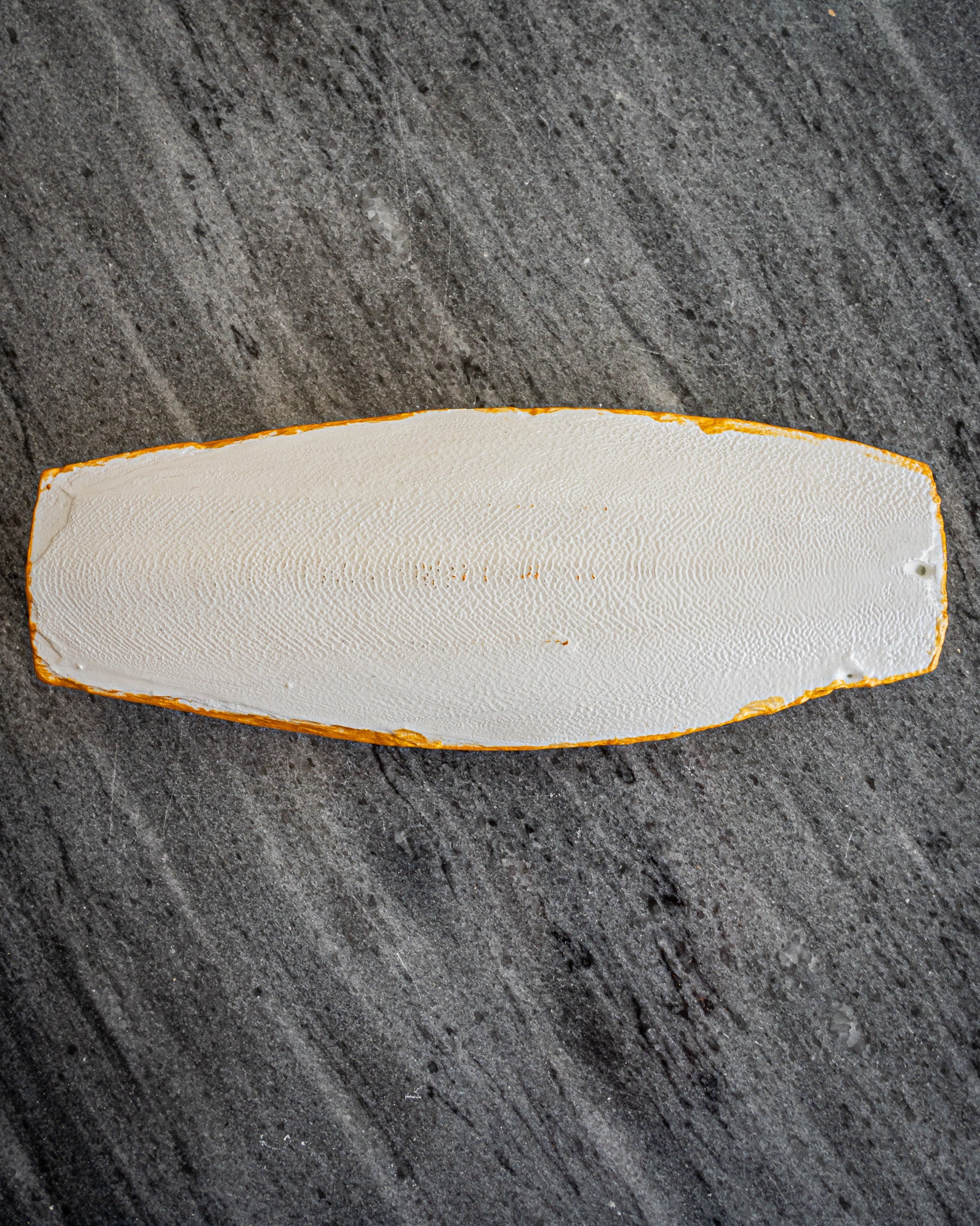 Perfect Cuttlefish Art, Vintage Dubai