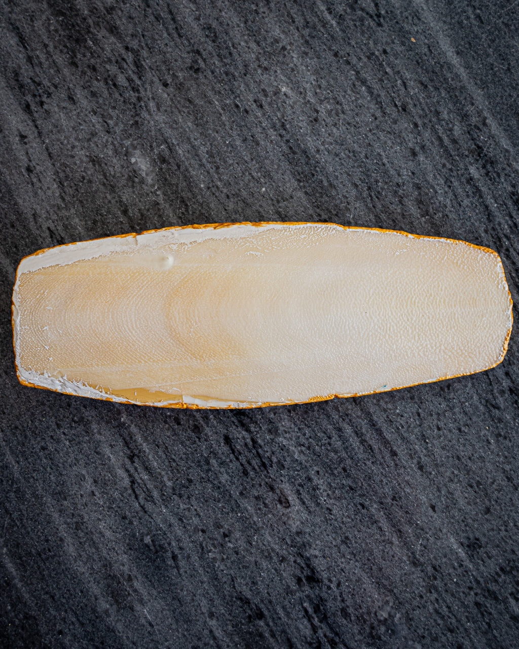 Perfect Cuttlefish Art, Abu Dhabi, Dubai