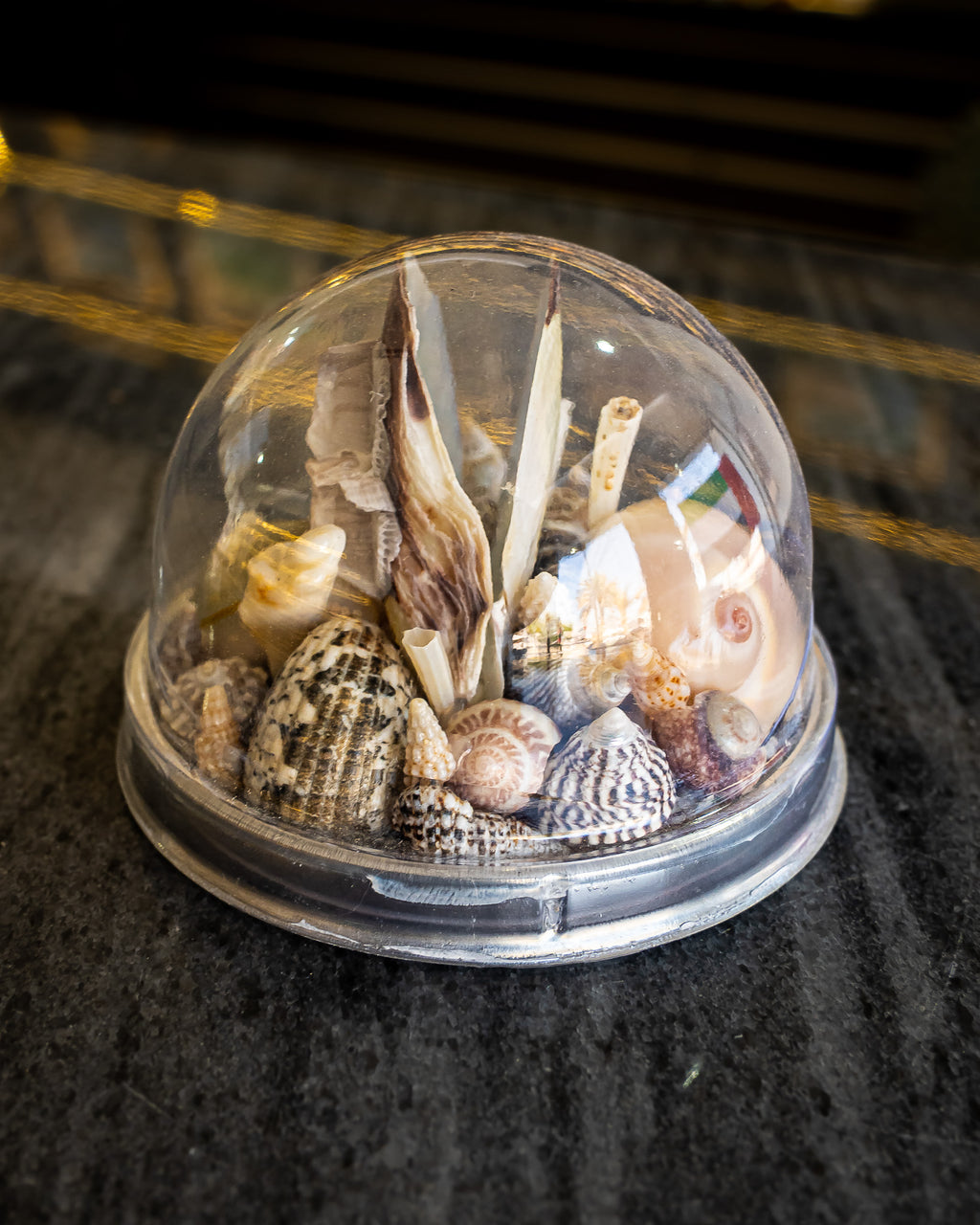 Shell Dome