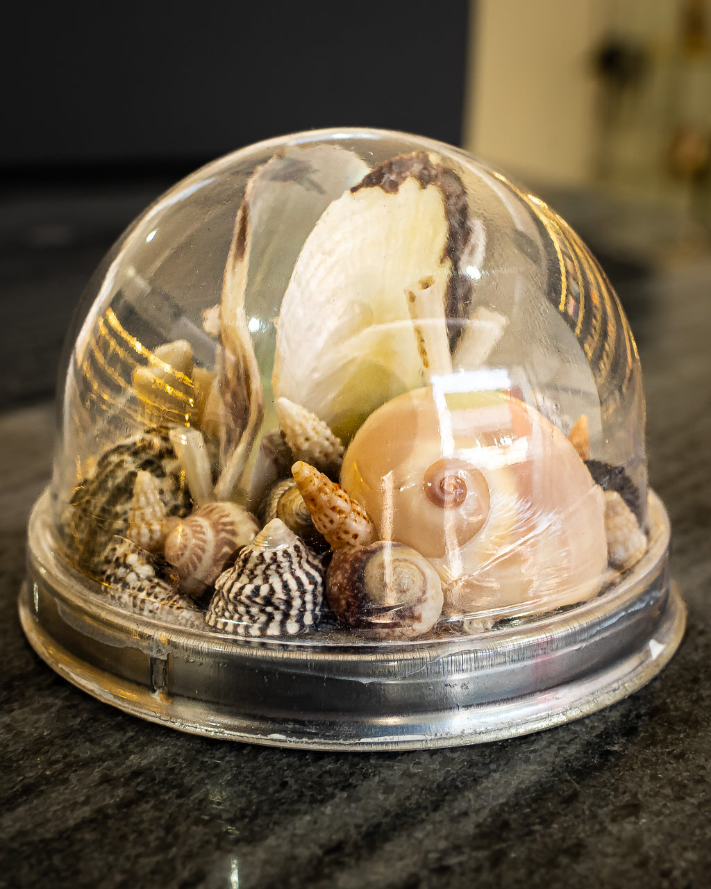 Shell Dome