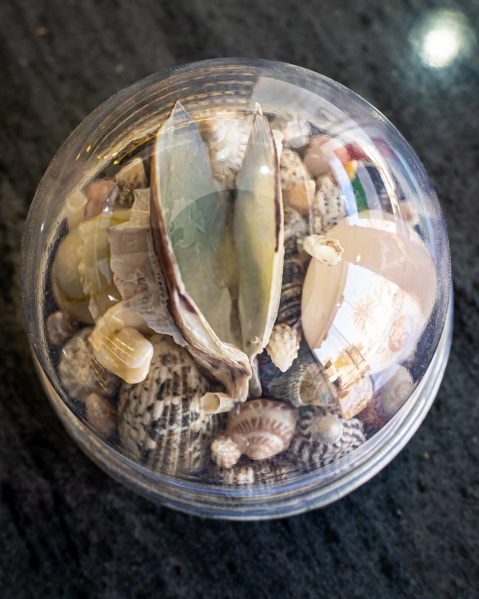 Shell Dome