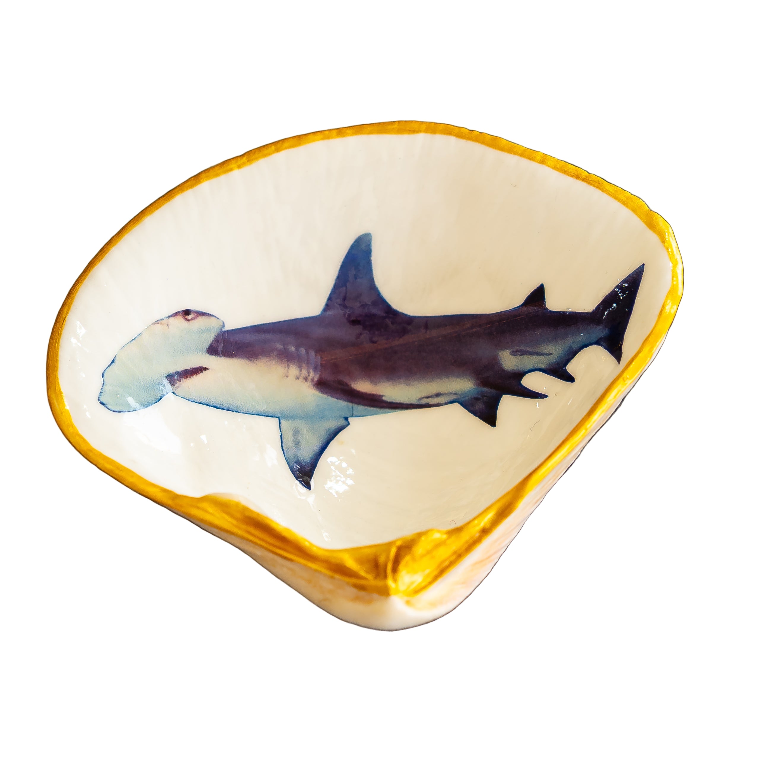 Hammer Head Shark, Half Clam