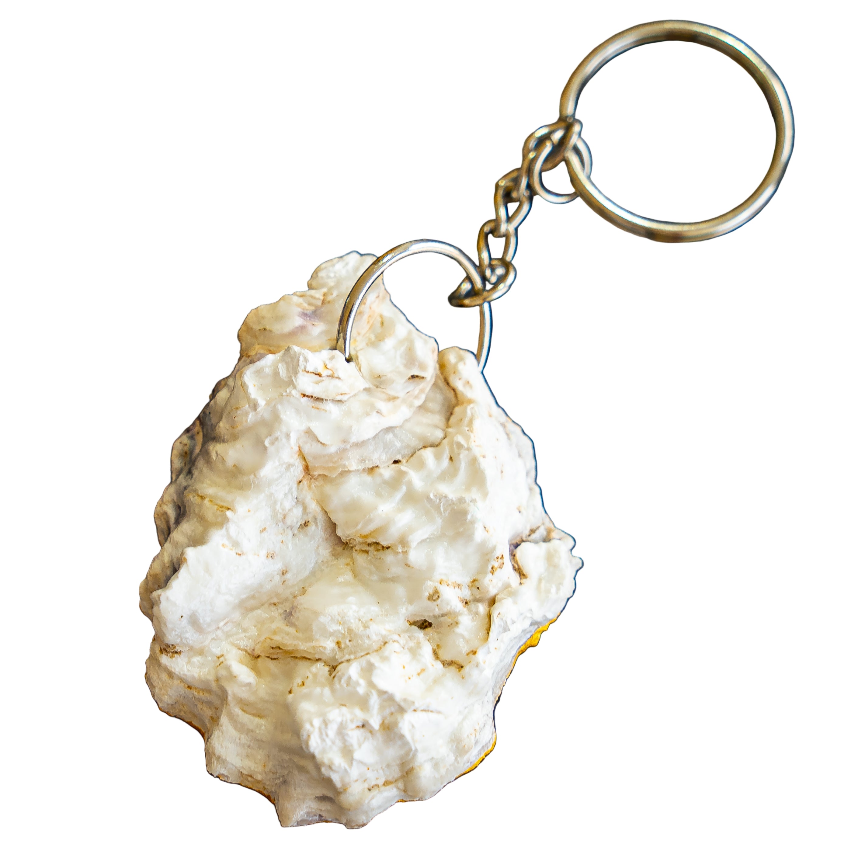 Natural UAE oyster keychains ( keyring )