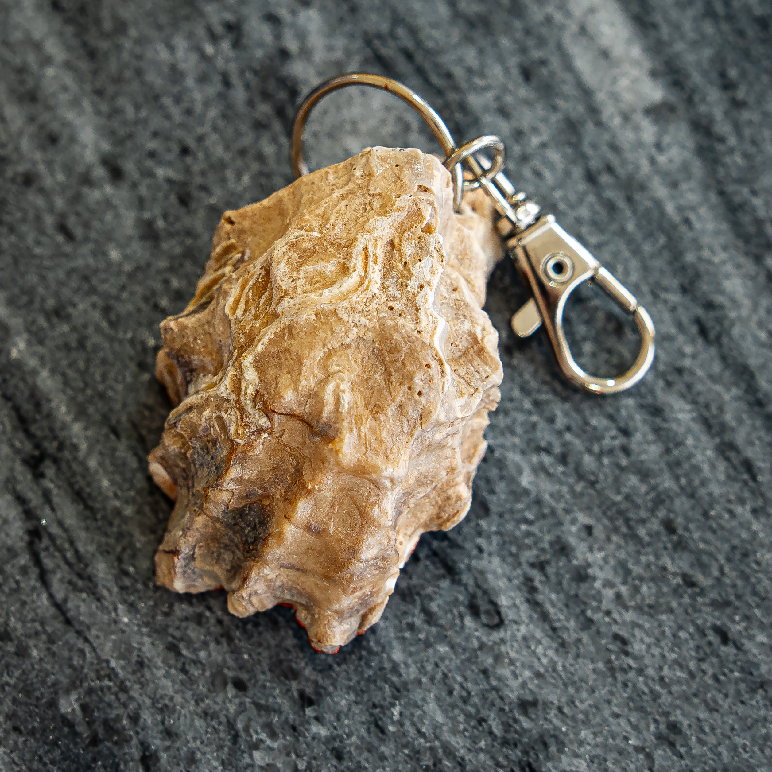 Natural UAE oyster keychains ( keyring )