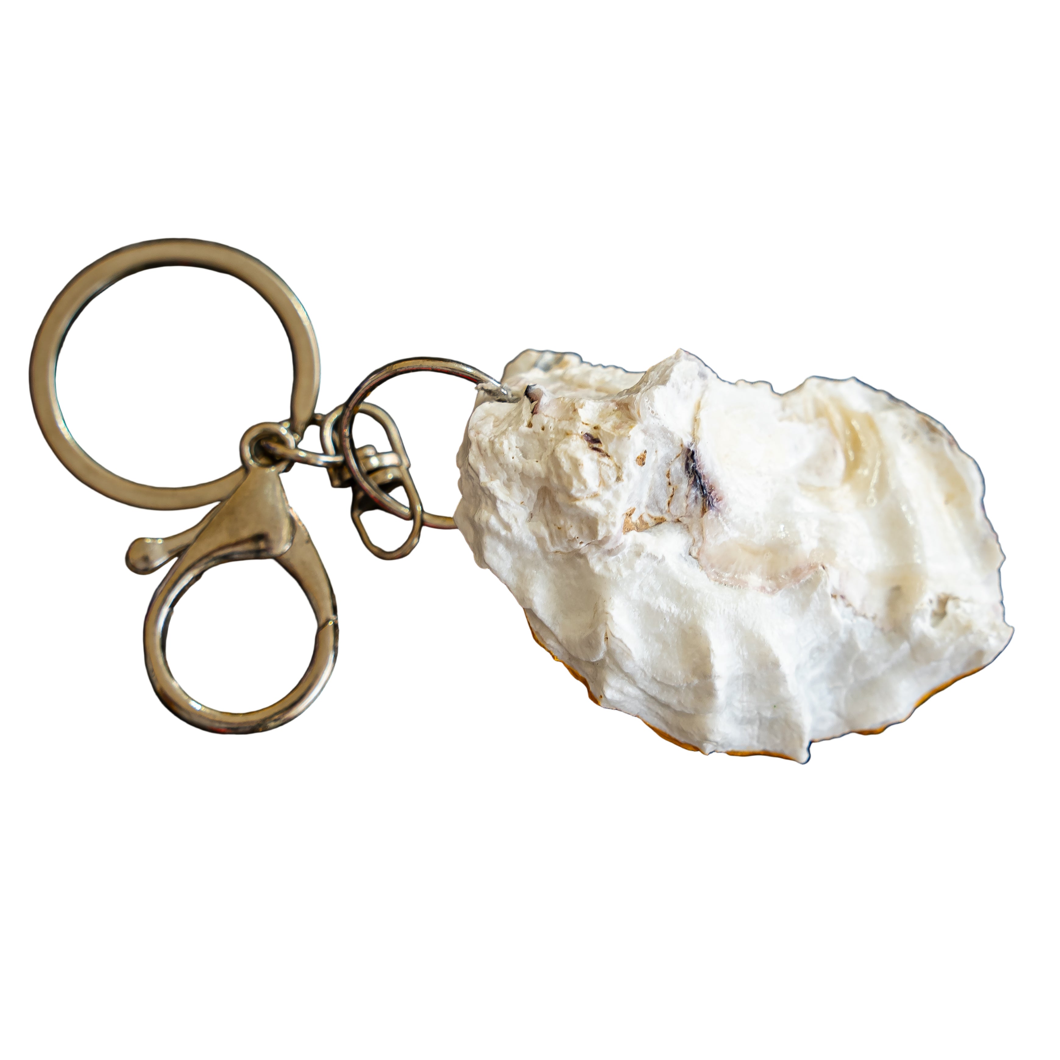 Natural UAE oyster keychains ( keyring )