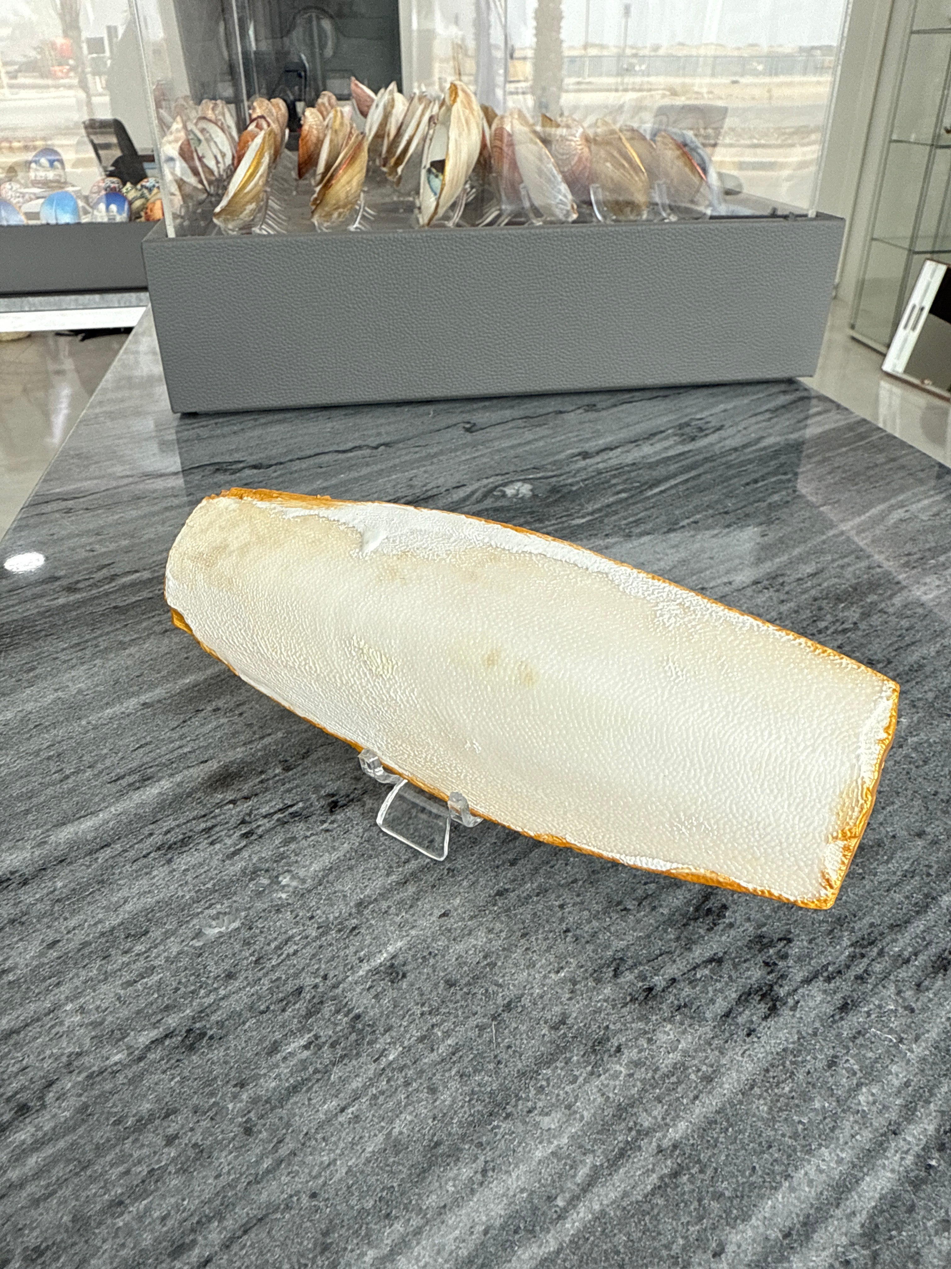 Dubai blend, Perfect Cuttlefish Art
