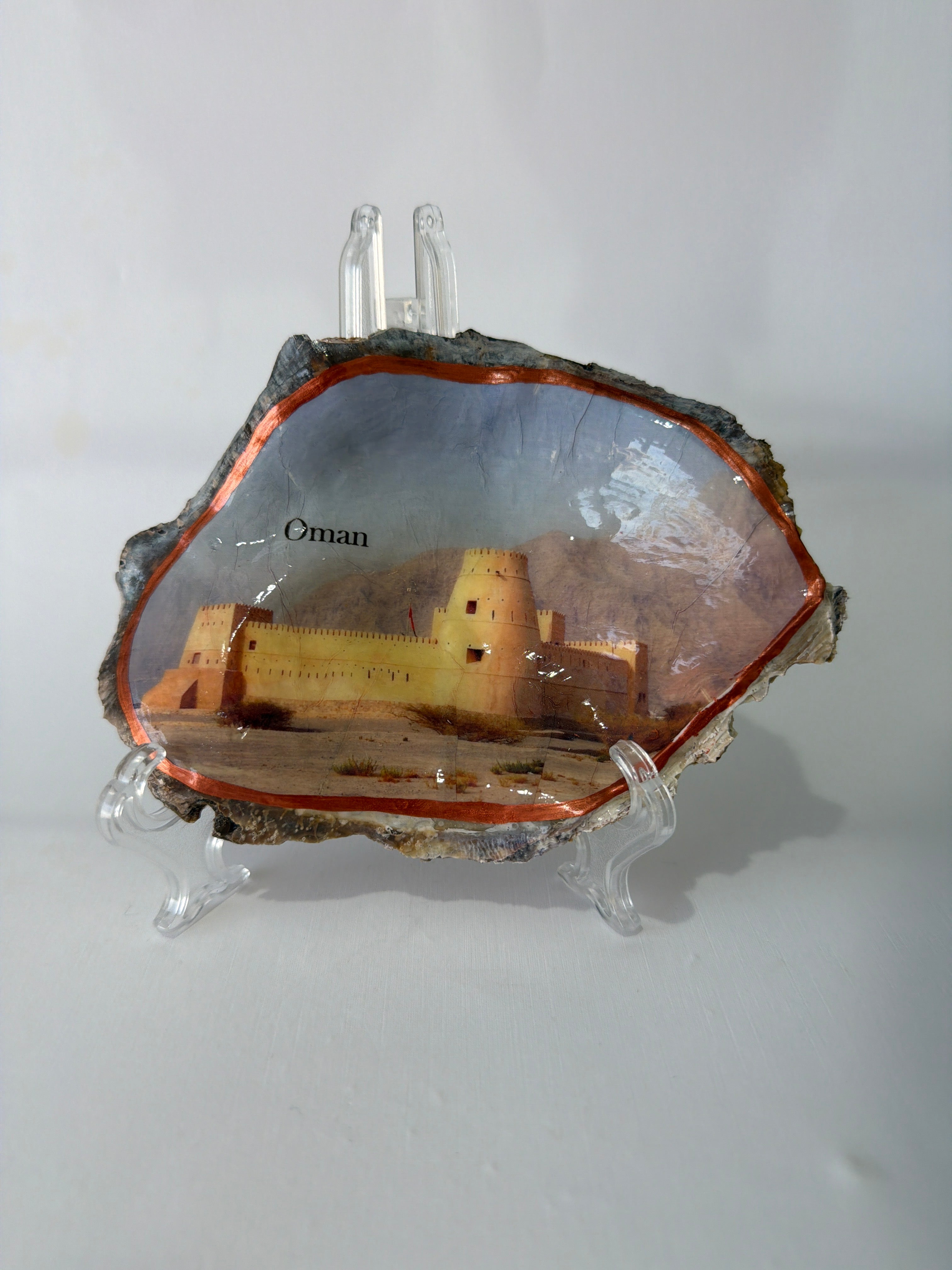 Oyster Art, Oman 5.9”