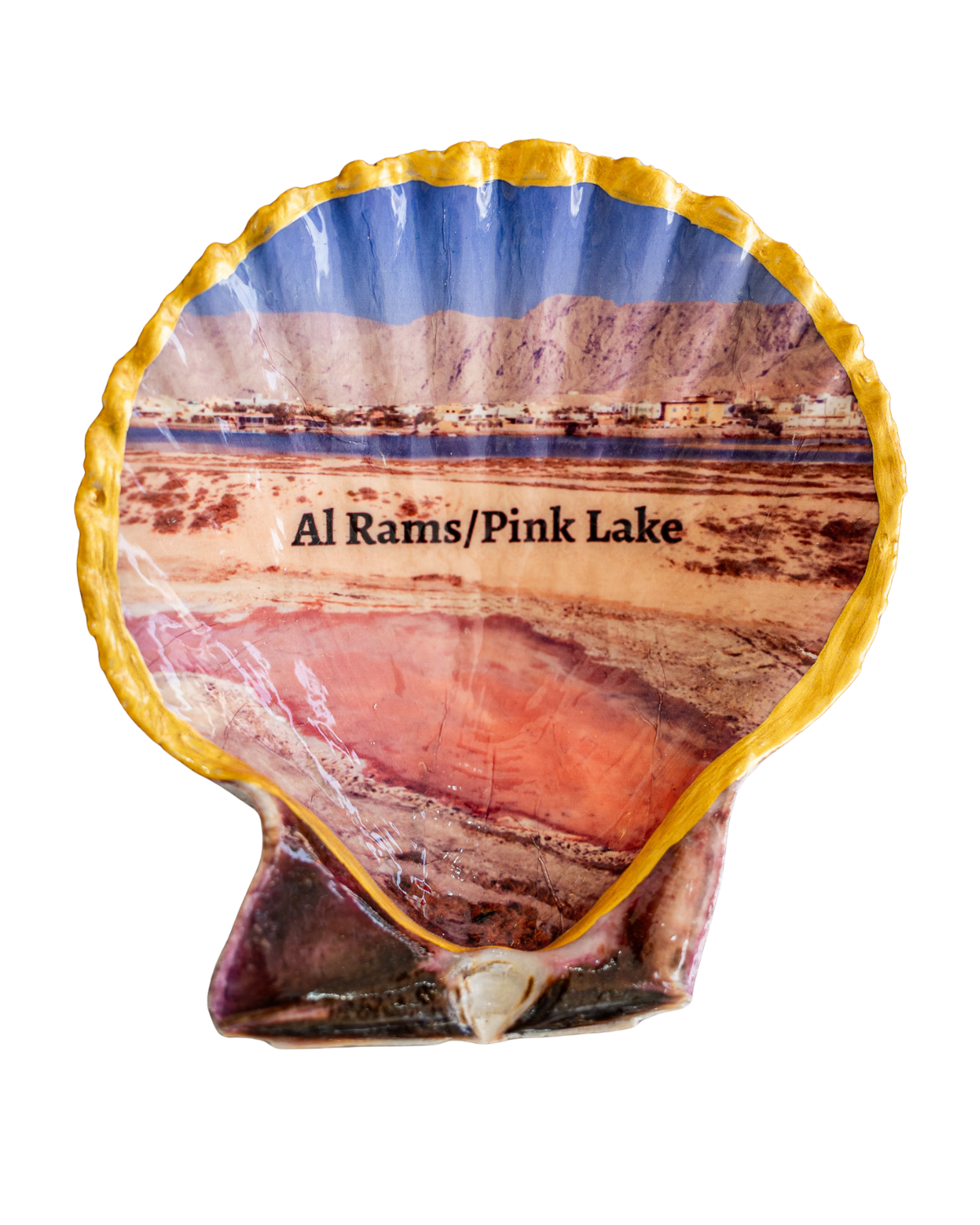 Scallop Art, Al Rams, Pink lake 4"