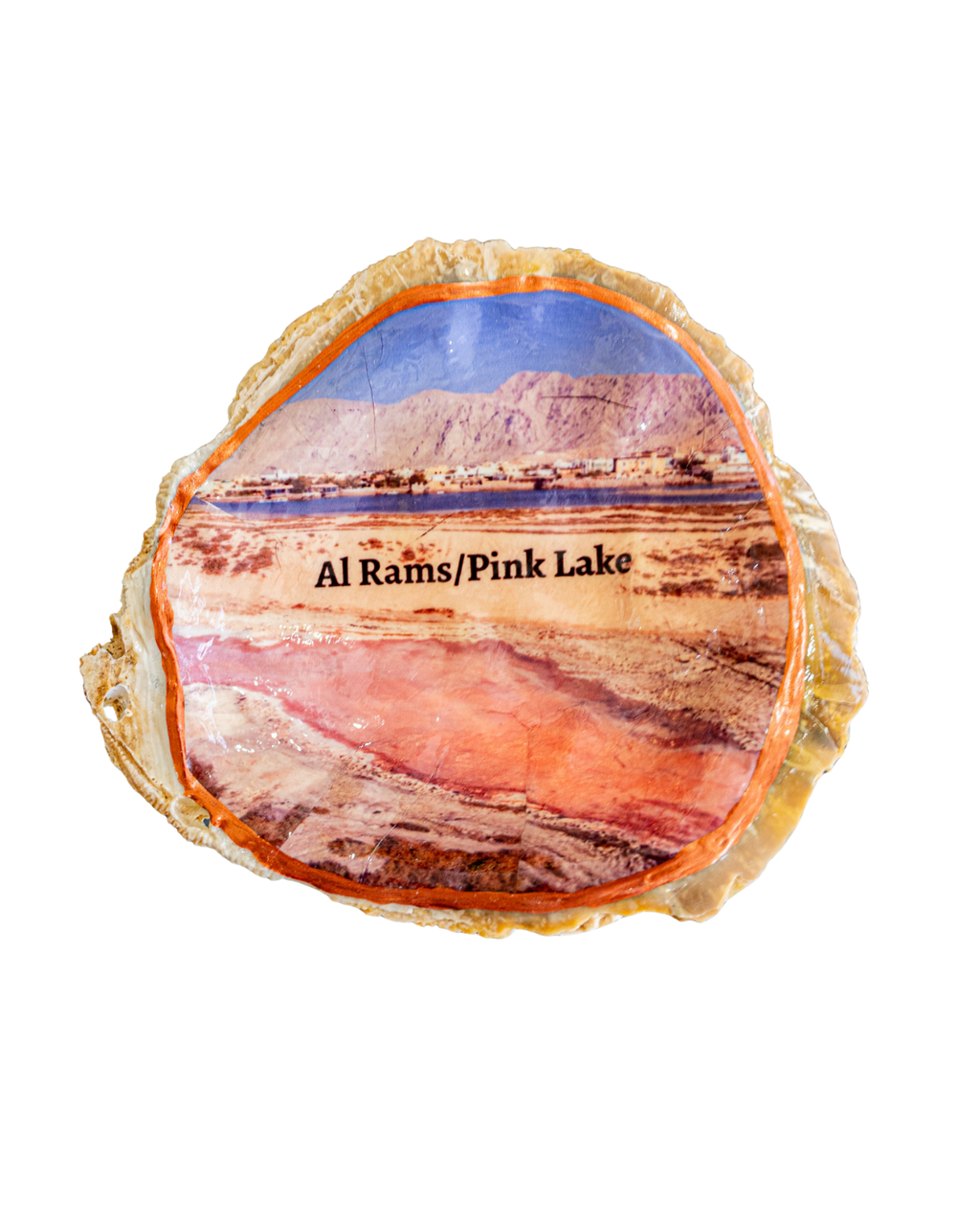 Oyster Art, Al Rams, pink lake 4"