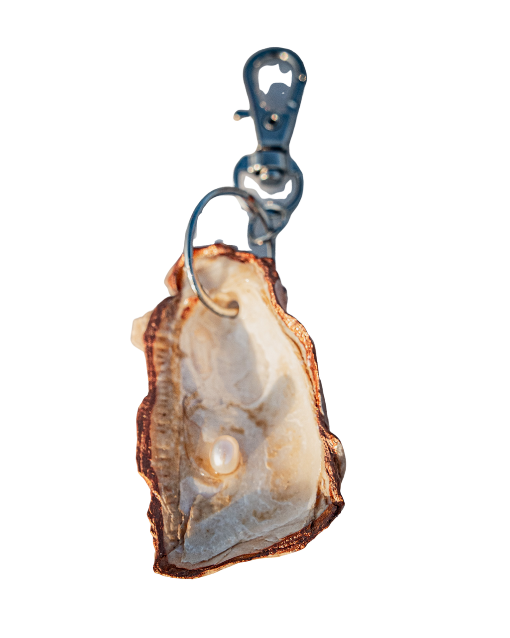 Natural UAE oyster keychains ( keyring )