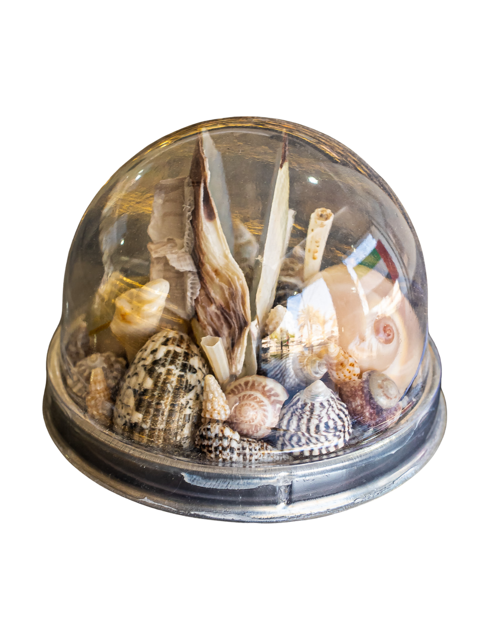 Shell Dome