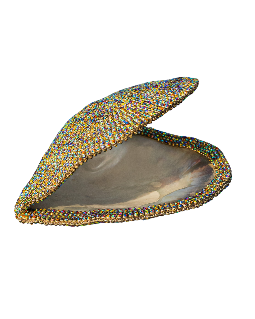 Rare large jeweled mother of pearl oyster