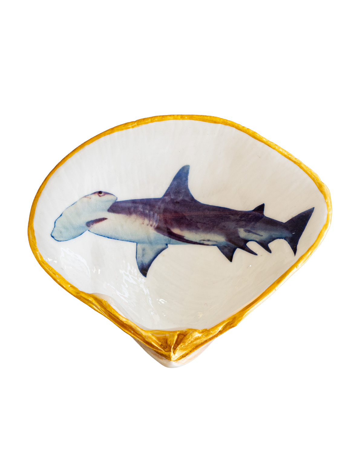 Half Clam Shell, Hammer Head Shark,