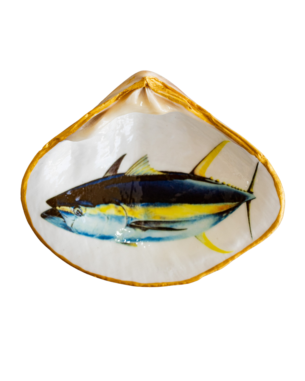 Half Clam Shell, Tuna Fish