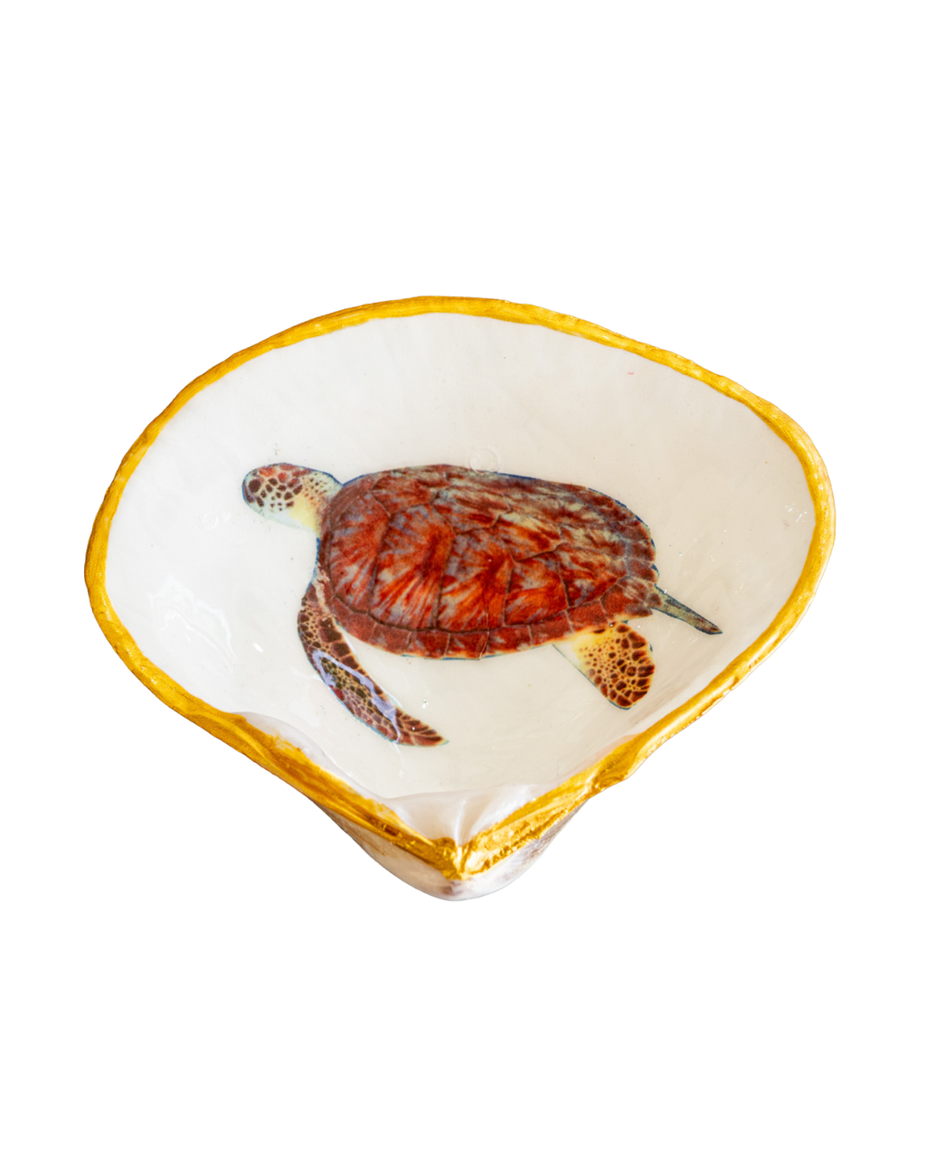 Half Clam Shell, Turtle