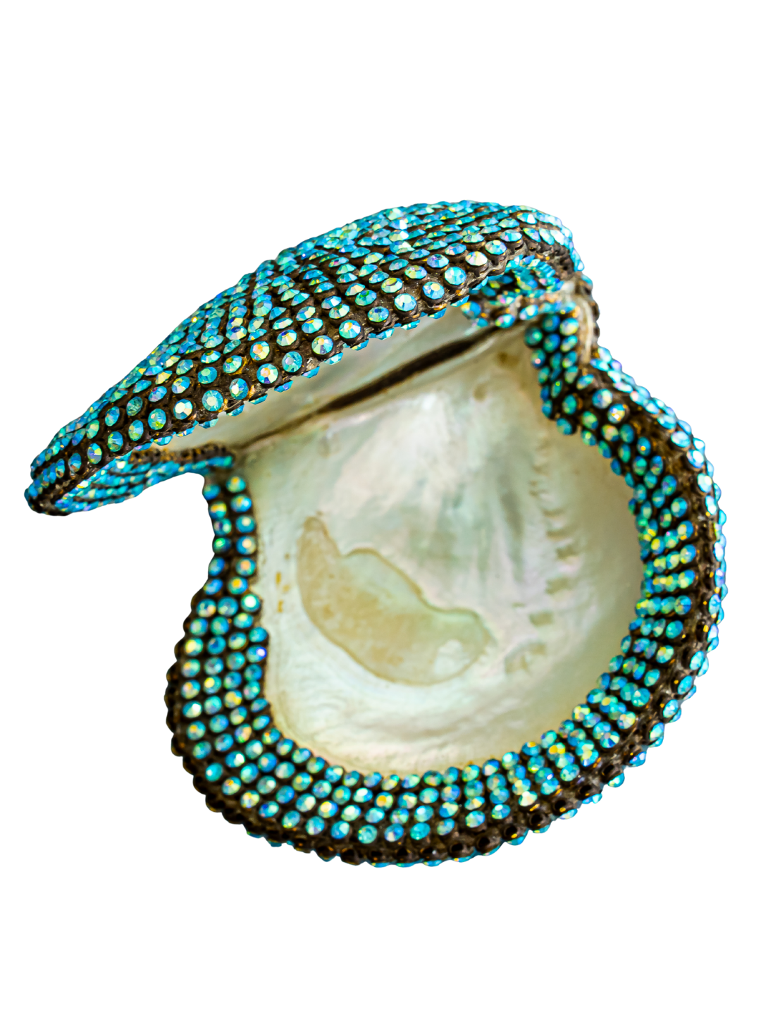 jeweled Mother of Pearl Oyster ( sold )