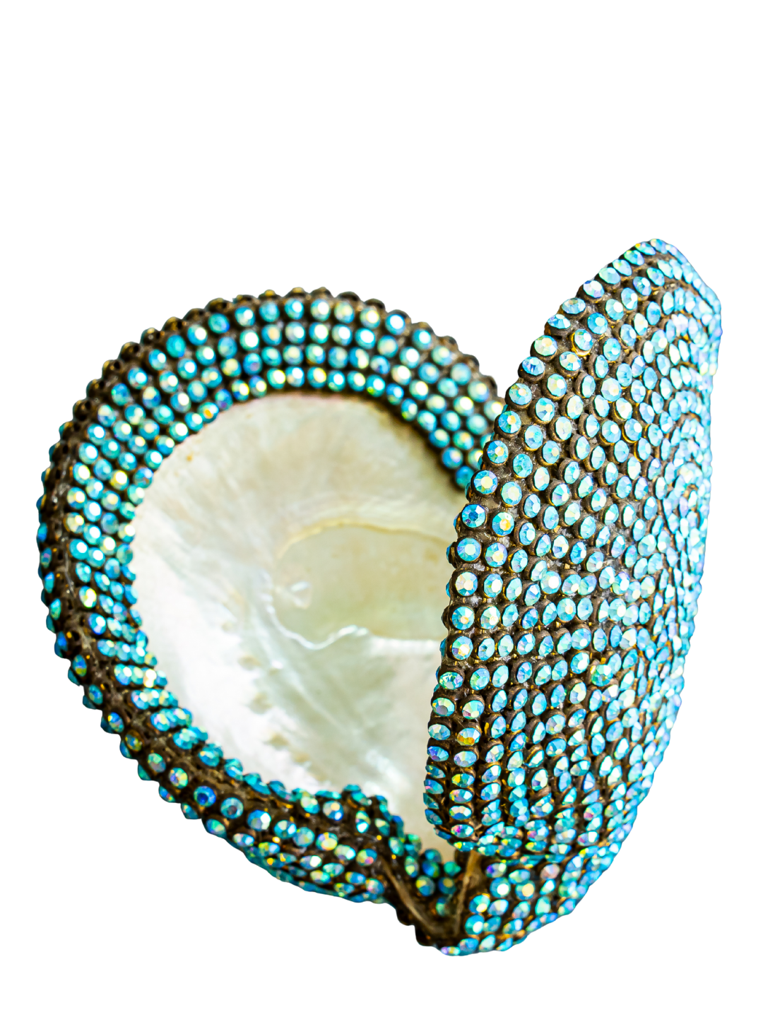 jeweled Mother of Pearl Oyster ( sold )
