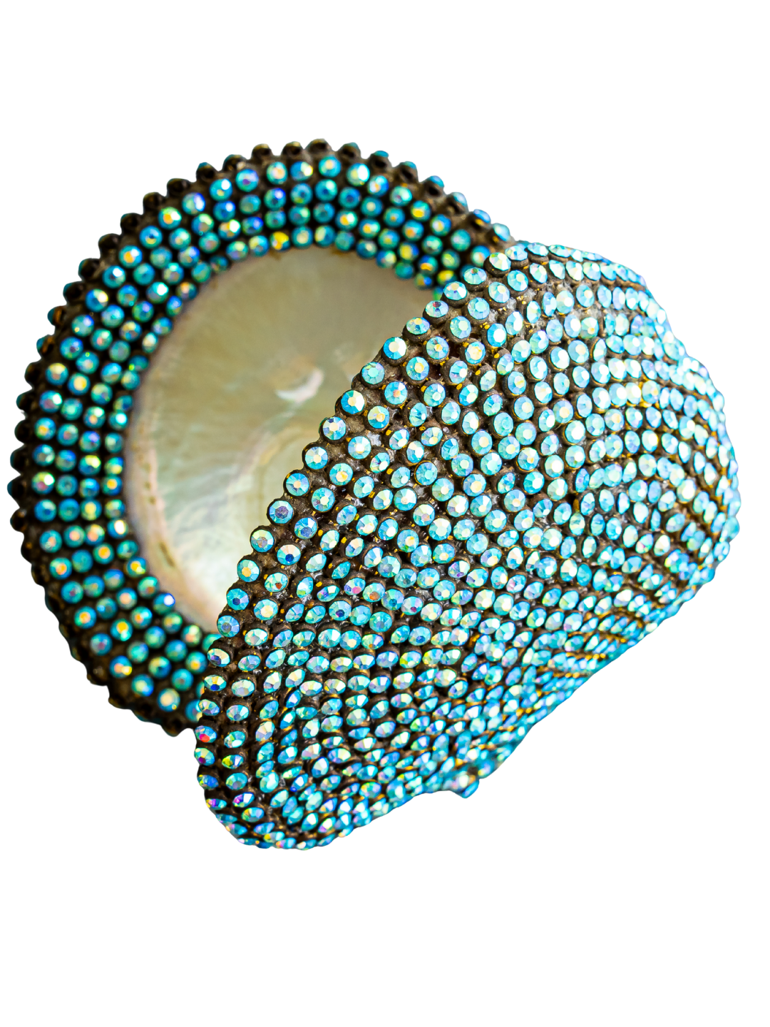 jeweled Mother of Pearl Oyster ( sold )