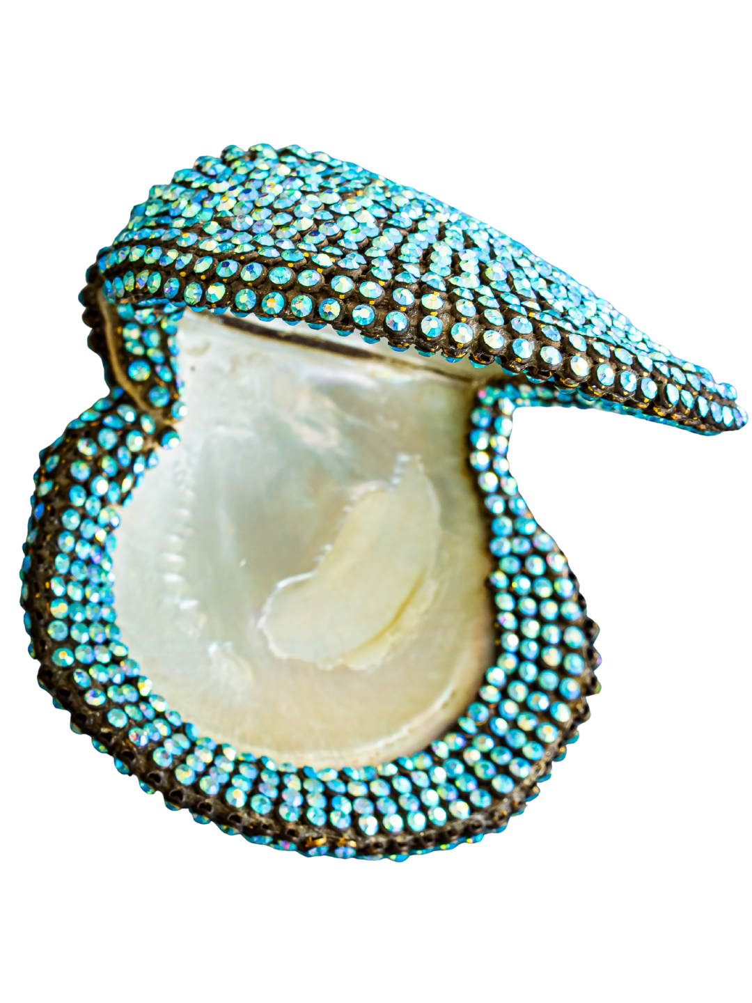 jeweled Mother of Pearl Oyster ( sold )