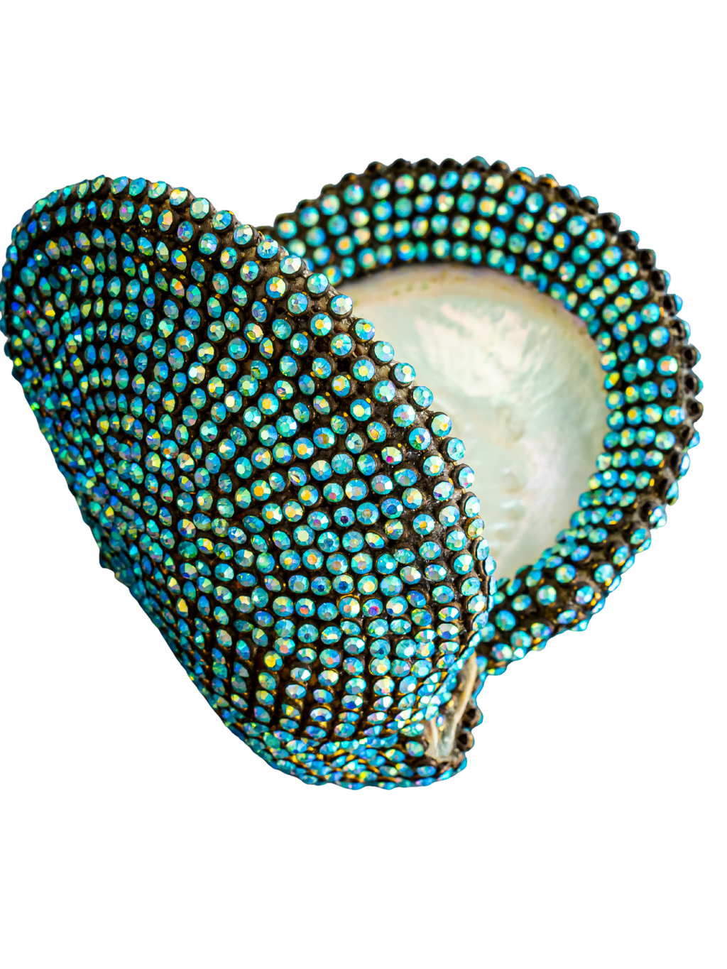 jeweled Mother of Pearl Oyster ( sold )