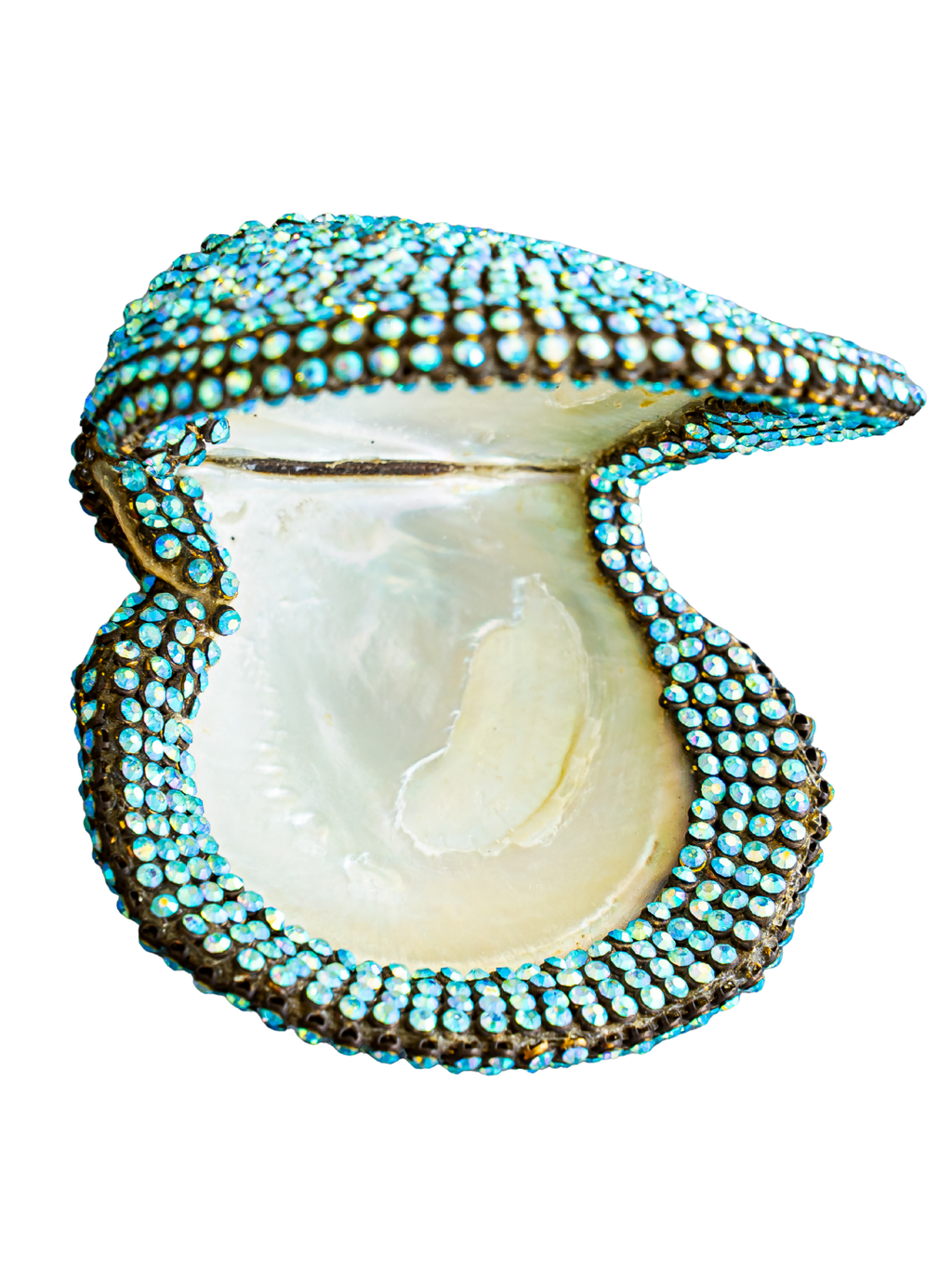 jeweled Mother of Pearl Oyster ( sold )