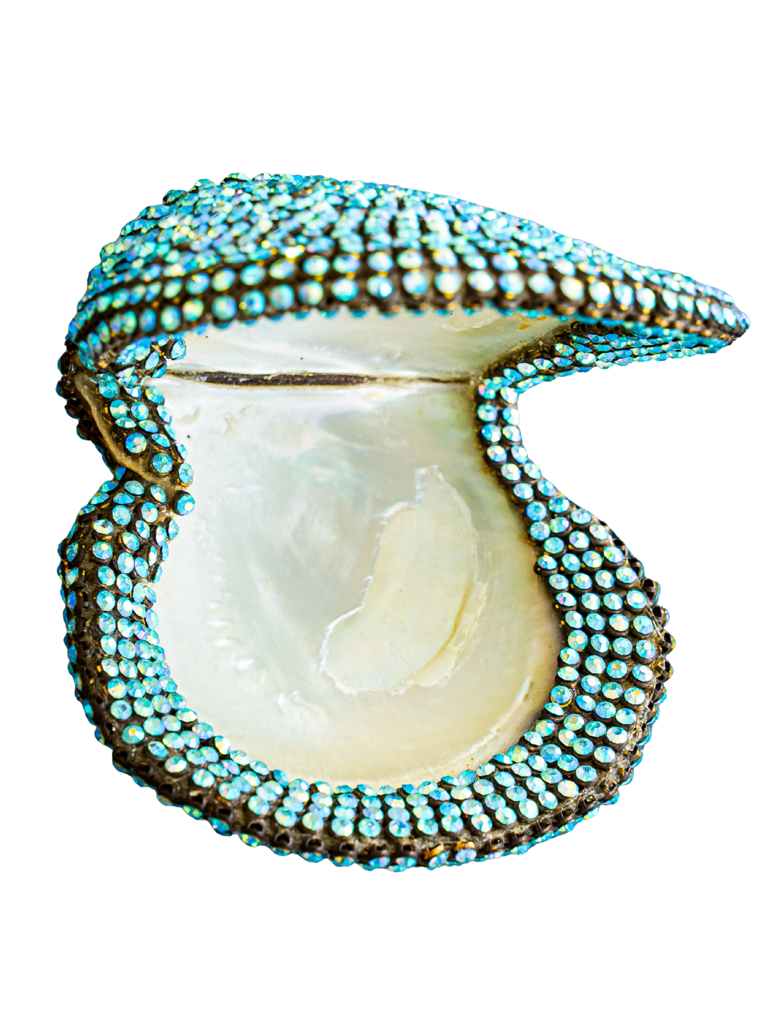 jeweled Mother of Pearl Oyster ( sold )