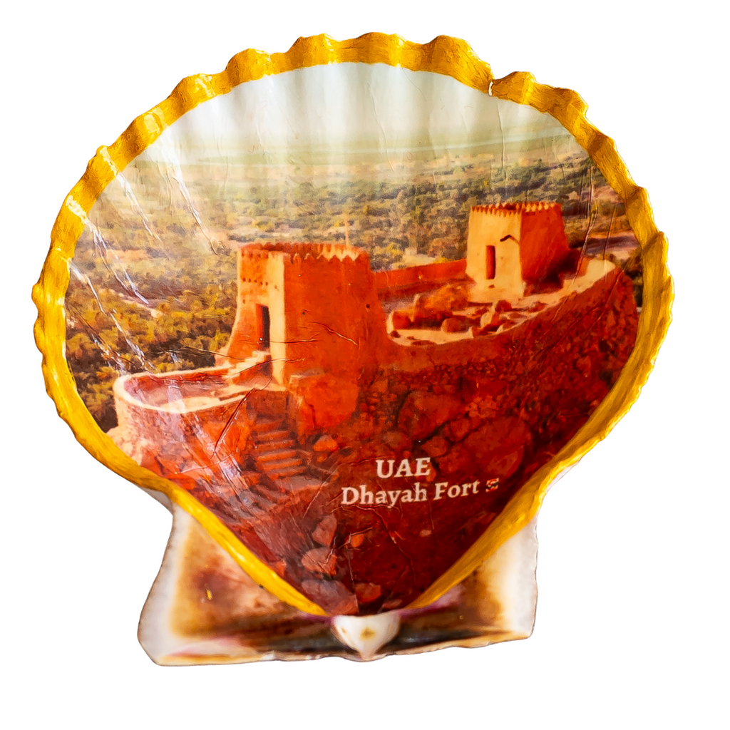UAE Dhayah Fort, Scallop Shell